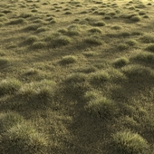 Grass landscape 2
