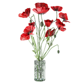 Field Poppies in a Vase