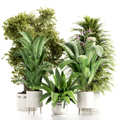 Indoorplants-set112