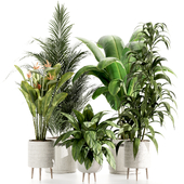 Indoorplants-set113