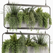 Indoorplants- Hanging Plants - Set042