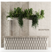 Name :Reception With Hanging Plants set02