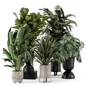 Indoor Plants in Ferm Living Bau Pot Large - Set 2334