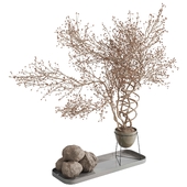 dry branch in a stand vase - Bouquet 60