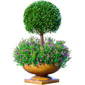 Boxwood with a flower bed in a floor garden pot, flowerpot,garden planter for decoration for Porch ,Terrace,Entrance group