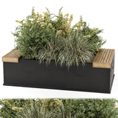 Outdoor Plants Bush  in Handmade Black  Pot - Set 2350