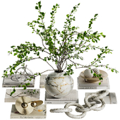 Decorative set with branches and books ch5