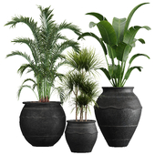IndoorPlantSet01