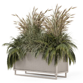 Outdoor Dry Plants in Metal Pots - Set 2396