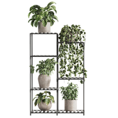 Indoor Plant Stand 150