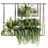 Indoorplants-plants in shelf set128