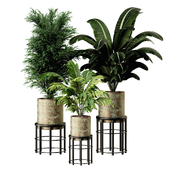 Indoor plant set05