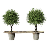 Outdoor plant02