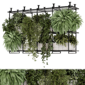 Indoor Hanging Plants in Metal Box - Set 2498