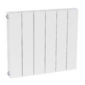 Bimetallic radiator Rifar