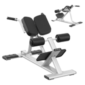 E7045 BACK EXTENSION DHZ fitness equipment