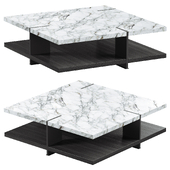 Natural Marble & Wood Coffee Table