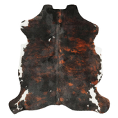 Tricolor Cowhide Rug B5893