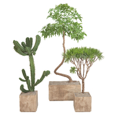 Indoor Plant Faux Banana set24