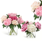treez plants set 53