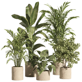 indoor plant set 86-stone pot