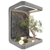 Indoor Plants set 01