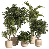 indoor plant set 87-Concrete pot