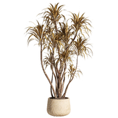 indoor plant 03-concrete pot