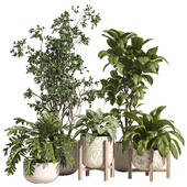 indoor plant set 88- ceramic and wood