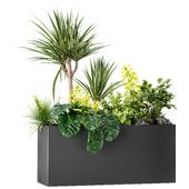 Outdoor Plants in Large Rectangular Planter