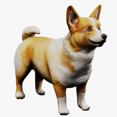 Corgi