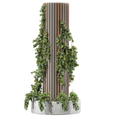 Ivy column