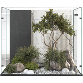 interior courtyard tree and shrub set 385