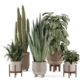 Plants in Standing Legs Small Bowl Pot_Set 2812