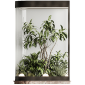 Indoor Plant Set 159