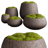 Decorative Cachepot Vases