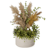 Plants Decorative Set Pampas And Taraxacum 124