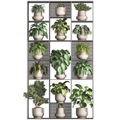 Indoor Plant And Vertical Plant In Box Set 163