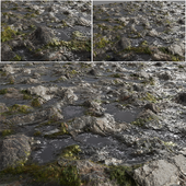 Algae-Covered Rock  – High-Quality & Realistic