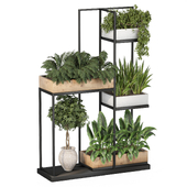 Indoor Plants In Standing Vertical shelf 140