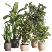 indoor plant set 93 Concrete pot