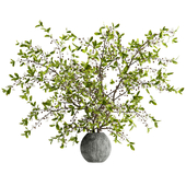 Bouquet of twigs in a clay pot22