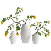 Lemon Twig Bouquet 25
