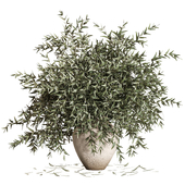Olive Branches in Textured Ceramic Vase