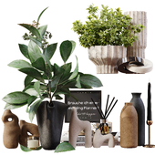 Decorative Set 287