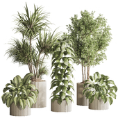 Indoor Plant Set 167