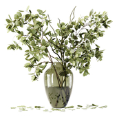 Bouquet Indoor Plants 44