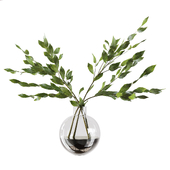 Bouquet Indoor Plants 46