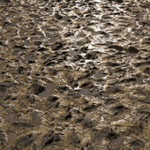 Wet Earth With Rocks