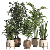 indoor plant set 94 stone and wood pot